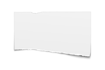 White vector oblong paper tear isolated on white background