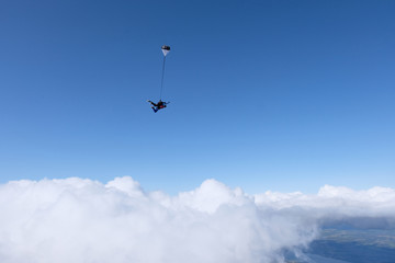 Tandem skydiving above white clouds. Long shot.