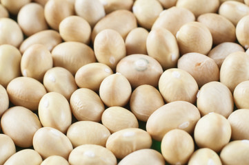 Small white beans of Nevi variety close-up. Macro shot.