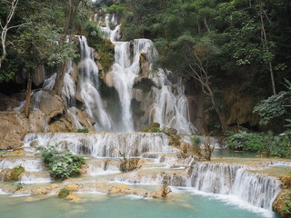 Obraz premium OLYMPUS DIGITAL CAMERA