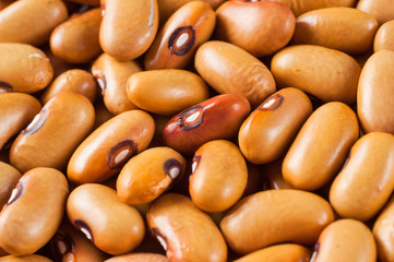 Beans varieties chocolate bowl close-up. Macro shot.