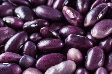 Shelling purple beans close-up. Macro shot of food.