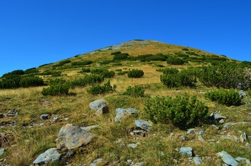Fototapeta na wymiar mountain scenery of Pirin National Park in Bulgaria