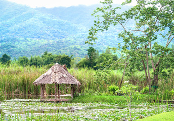 Fototapeta na wymiar Straw huts in the pond