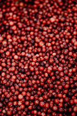cranberries on a black background