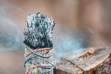 Burning white sagebrush incense in a forest.The witchcraft and mystical concept.