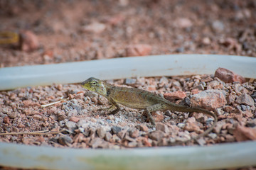 I'm looking for something.