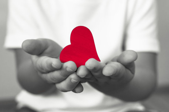 little child holds red heart in his hands, charity, blood donor concept. 