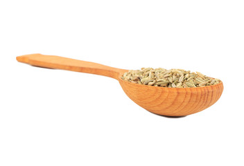 Dry fennel in spoon