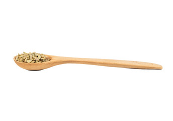Dry fennel in spoon