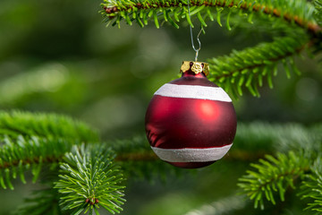 Weihnachtsschmuck an einem Tannenbaum aus papier , Lebkuchen oder Glas