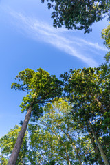 Obraz premium 富山観音堂より松島湾を望む