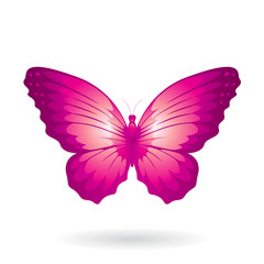 Colorful Butterfly Illustration