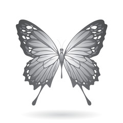 Colorful Butterfly Illustration