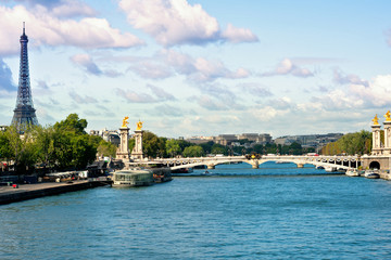 Landscape with the Eiffel Tower and the Bridge