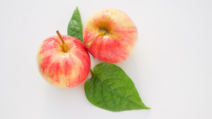 Close up Apple on white background.