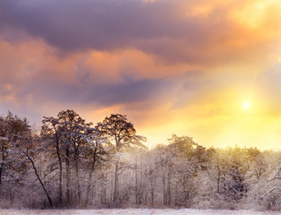 Fototapeta na wymiar Winter landscape. Beautiful forest in the snow at sunset. USA. Maine