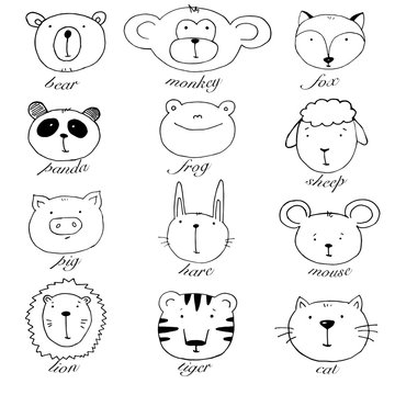 Funny animals heads set of vector illustrations. Design element, cards with hand drawn faces of wild animals in cartoon.
