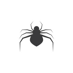 spider ilustration logo