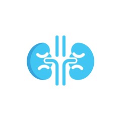 Obraz premium kidneys flat vector icon