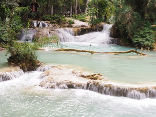 Obraz premium OLYMPUS DIGITAL CAMERA