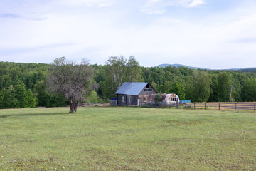 Farm landscape in summer. Old cottage with stable.