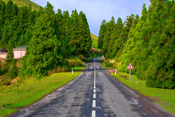 Road on the way to Sete Cidades, Azores
