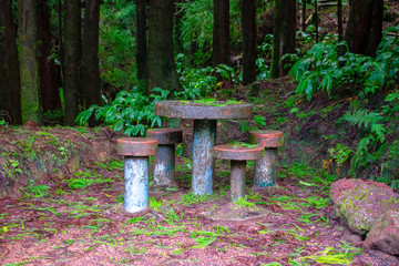 Table and chairs in the forest, Azores