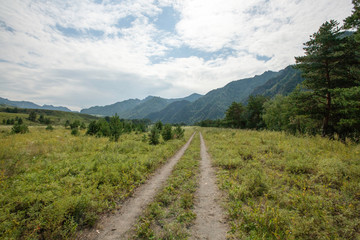 Fototapeta na wymiar field road in the Katun river valley, Chemal district, Altai Republic, month of August