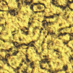 Wall art- liquid gold