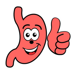 Happy smiling cartoon stomach vector icon isolated on white
