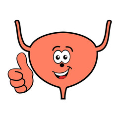 Happy smiling cartoon urinary bladder vector icon isolated on white