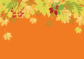 Naklejka na ściany i meble Autumn frame with falling leaves vector. Autumn leaves border. Autumn vector illustration. Autumn falling leaves vector. Colorful falling leaves illustration