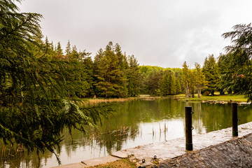 rainy day in the Opacua forest in Alvava