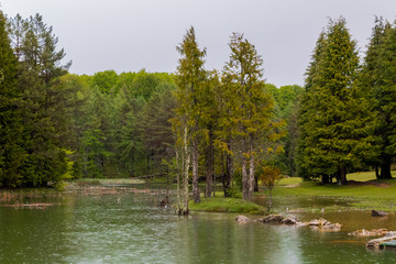 rainy day in the Opacua forest in Alvava