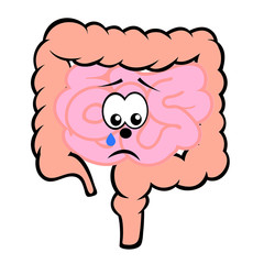 Unhappy unhealthy crying small and large intestines  cartoon character vector icon isolated on white.