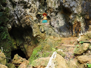 Obraz premium OLYMPUS DIGITAL CAMERA