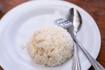 Plain rice on a white plate
