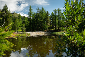 Fototapeta na wymiar Small pond in Martell valley on a sunny day in summer