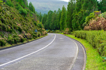 Road on the way to Sete Cidades, Azores