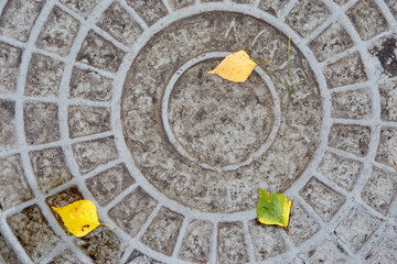 sewer manhole with yellow autumn. leaves manhole cover top view.