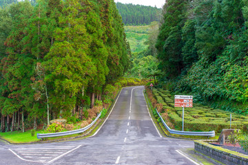 Road on the way to Sete Cidades, Azores