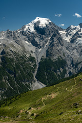 Panorama of the Ortler Alps near Stelvo Pass on a sunny day in summer