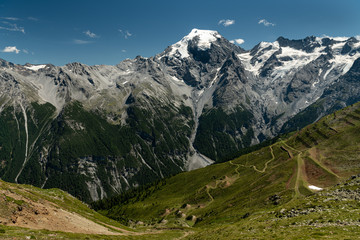 Fototapeta na wymiar Panorama of the Ortler Alps near Stelvo Pass on a sunny day in summer