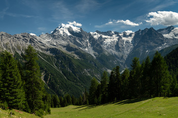 Fototapeta na wymiar Panorama of the Ortler Alps near Stelvo Pass on a sunny day in summer