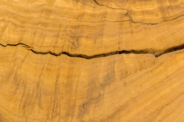texture of wood