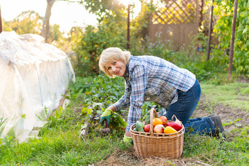 Fototapeta premium Woman with a straw hat holding basket of vegetables.