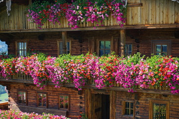 Fototapeta na wymiar Blumenpracht an Alpbacher Bauernhaus, Erbhof in Alpbach, Tirol, Österreich