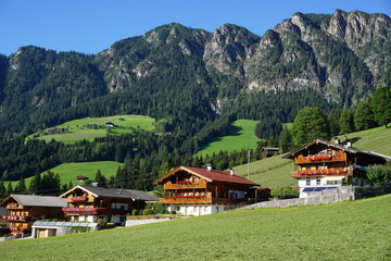 Fototapeta na wymiar Häuser in Alpbach Tirol Austria