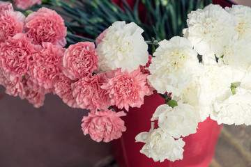 Pink carnation and White carnations